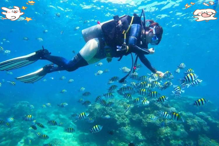 关于潜水呼吸赛,海底深潜的速度与耐力较量的信息 关于潜水呼吸赛,海底深潜的速度与耐力较量的信息