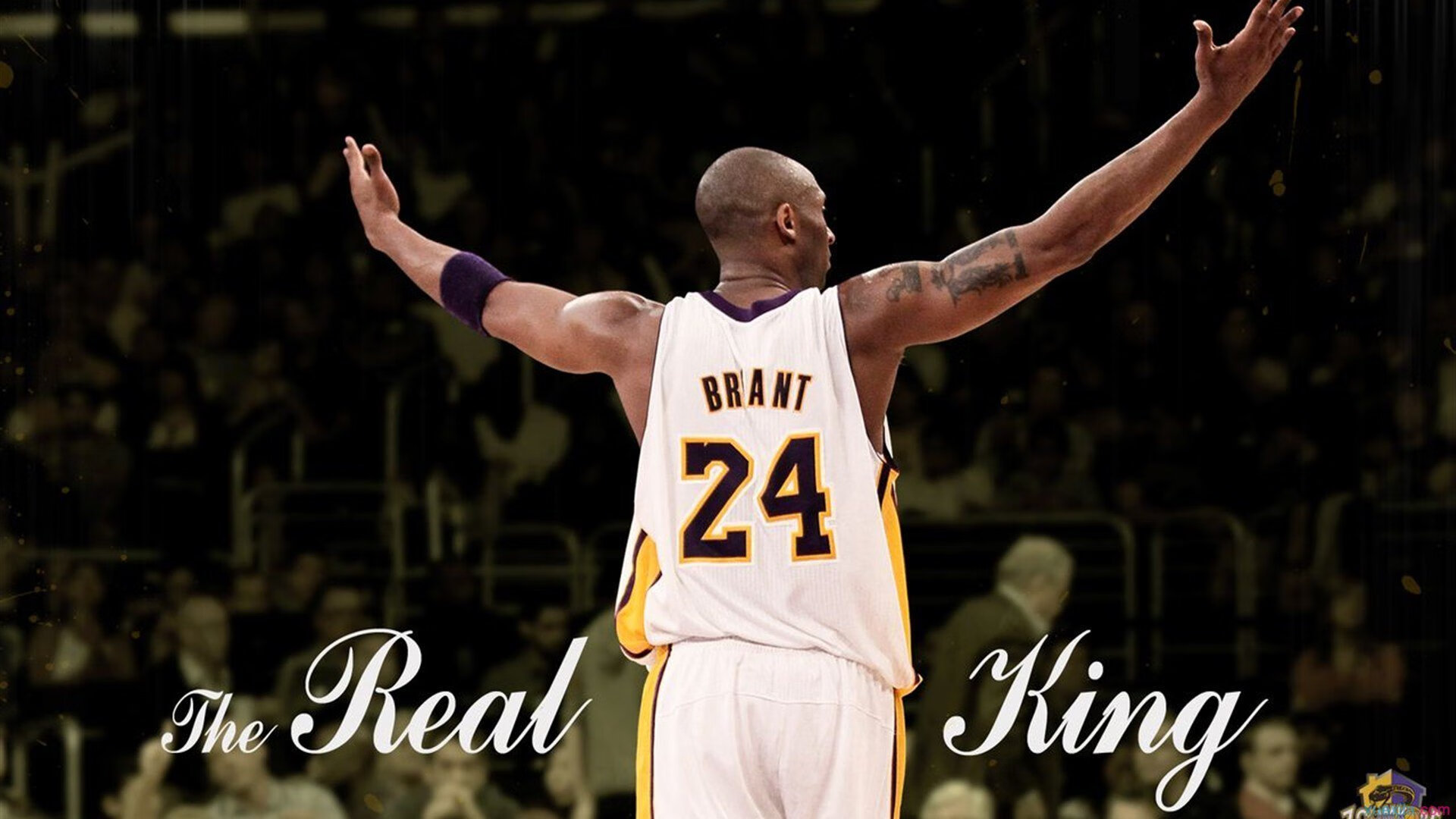 _传统赛事焕新颜：经典场地带来新颖体验_，赛事活动宣传